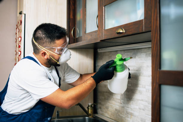 Best Commercial Pest Control Services  in Ridgewood, IL