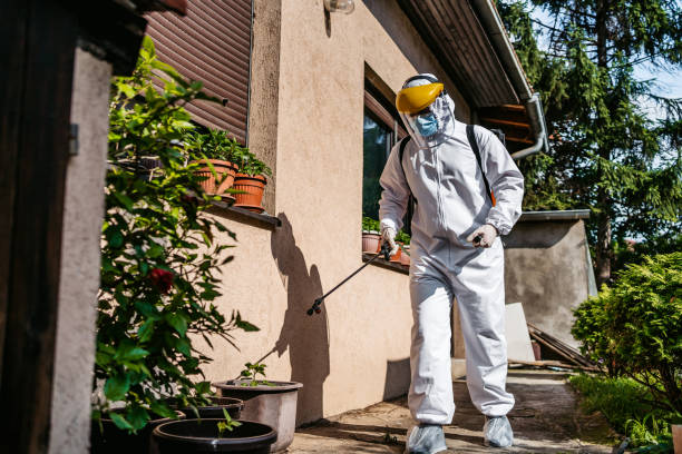 Best Rat Extermination Near Me  in Ridgewood, IL