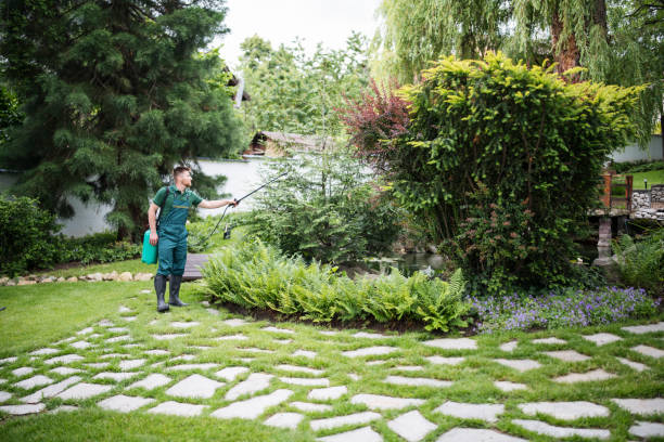 Best Emergency Pest Control  in Ridgewood, IL